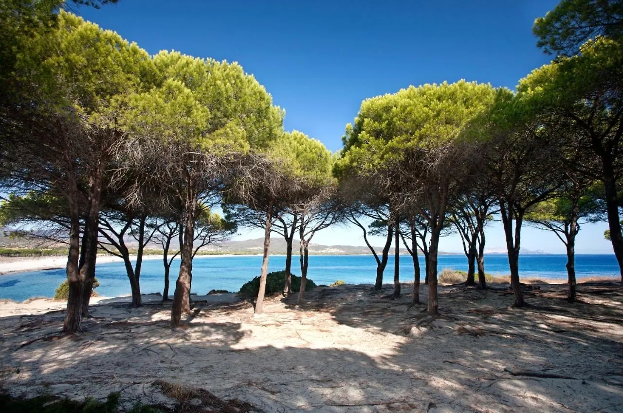 Villa Con Piscina Privata Budoniaffitti Ιταλία